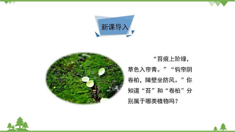 鲁科版（五四学制）生物六年级下册1.2《苔藓和蕨类植物》ppt课件03