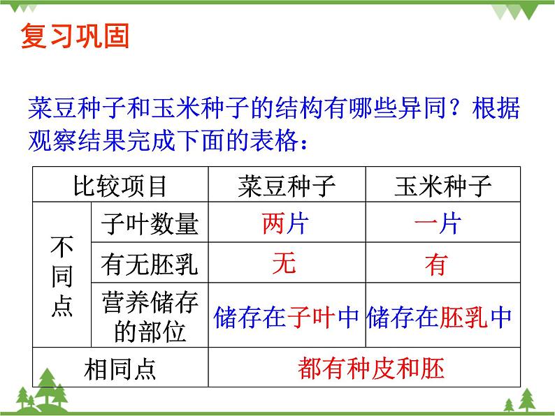 鲁科版（五四学制）生物六年级下册1.3《种子植物 (2)》ppt课件02