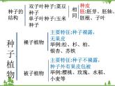 鲁科版（五四学制）生物六年级下册 第一章 绿色植物 复习ppt课件