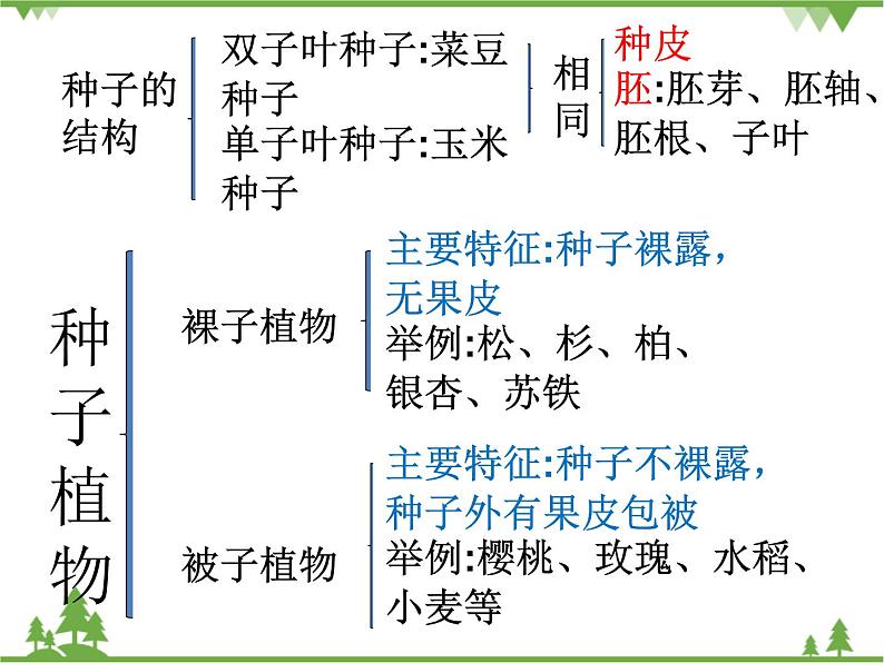 鲁科版（五四学制）生物六年级下册 第一章 绿色植物 复习ppt课件04