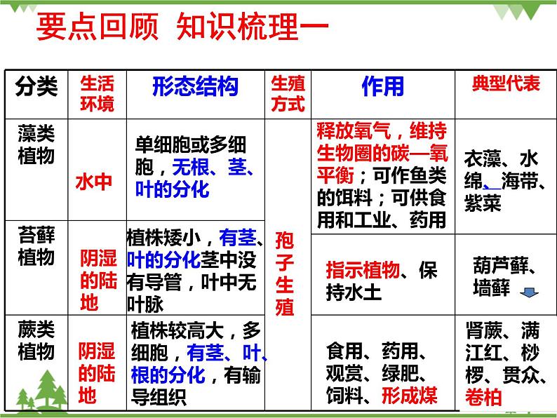 鲁科版（五四学制）生物六年级下册 第一章 绿色植物 复习ppt课件05