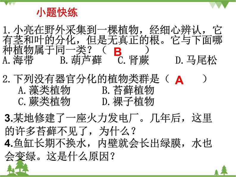 鲁科版（五四学制）生物六年级下册 第一章 绿色植物 复习ppt课件06