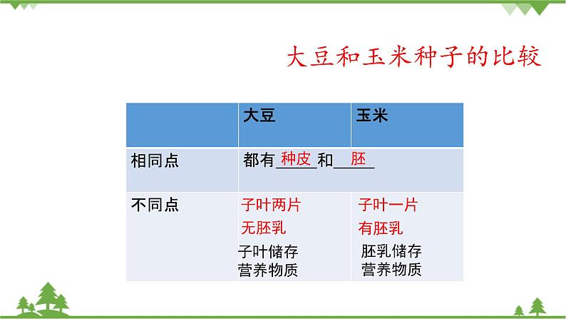 鲁科版（五四学制）生物六年级下册2.1《 种子的萌发》ppt课件06