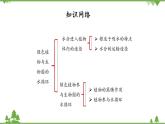 鲁科版（五四学制）生物六年级下册 第三章 绿色植物与生物圈的水循环  复习ppt课件