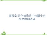 鲁科版（五四学制）生物六年级下册 第四章 绿色植物是生物圈中有机物的制造者 ppt课件