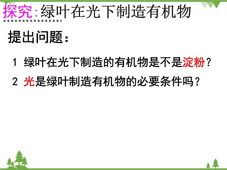 鲁科版（五四学制）生物六年级下册 第四章 绿色植物是生物圈中有机物的制造者 ppt课件03