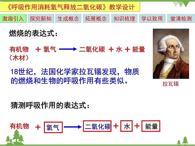 鲁科版（五四学制）生物六年级下册5.2《呼吸作用消耗氧气释放二氧化碳》ppt课件第3页