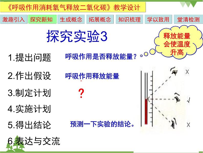 鲁科版（五四学制）生物六年级下册5.2《呼吸作用消耗氧气释放二氧化碳》ppt课件06