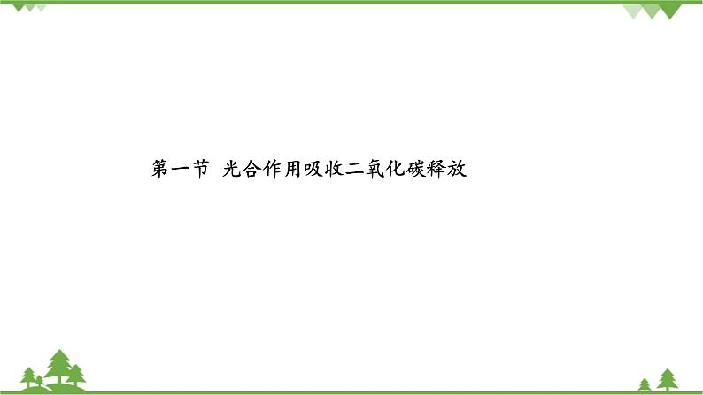 鲁科版（五四学制）生物六年级下册 第五章 绿色植物与生物圈中的碳—氧平衡  复习ppt课件第4页