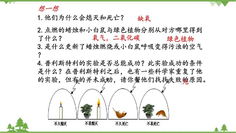 鲁科版（五四学制）生物六年级下册 第五章 绿色植物与生物圈中的碳—氧平衡  复习ppt课件06