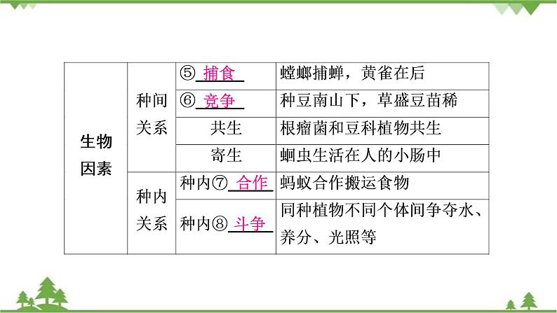 2021年生物中考人教版复习课件：第1单元 第2章 了解生物圈05