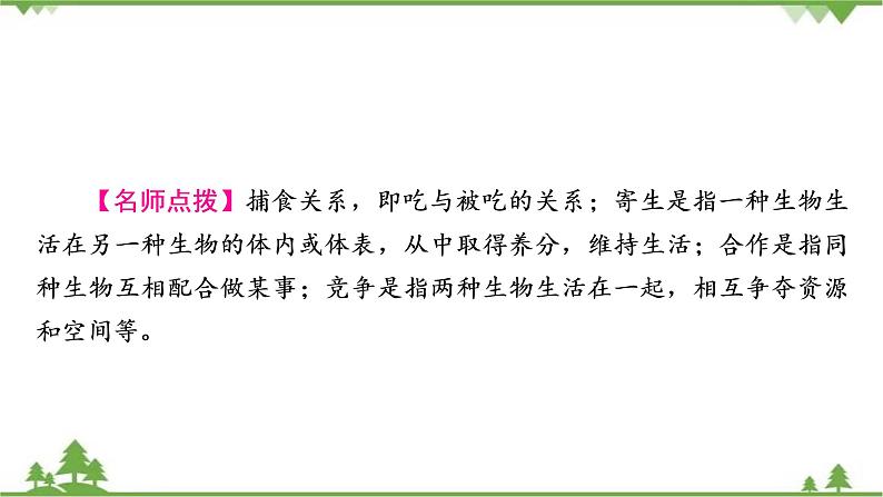 2021年生物中考人教版复习课件：第1单元 第2章 了解生物圈06