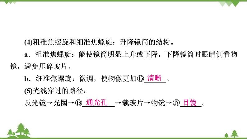 2021年生物中考人教版复习课件：第2单元 第1章 细胞是生命活动的基本单位07