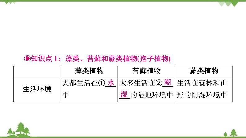 2021年生物中考人教版复习课件：第3单元 第1章 生物圈中有哪些绿色植物03