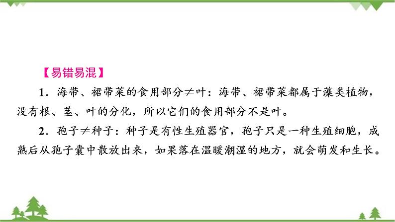 2021年生物中考人教版复习课件：第3单元 第1章 生物圈中有哪些绿色植物05