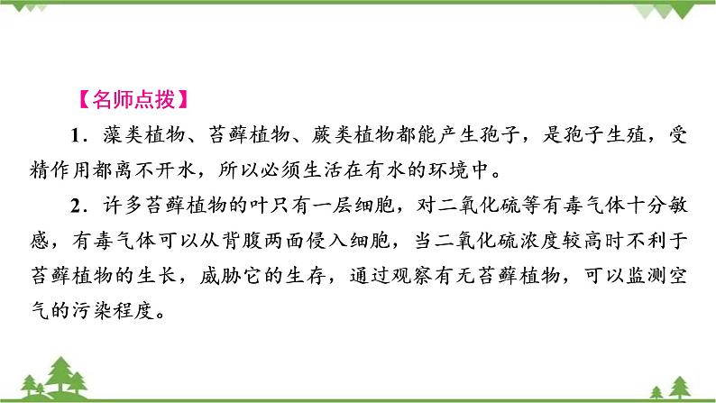 2021年生物中考人教版复习课件：第3单元 第1章 生物圈中有哪些绿色植物06