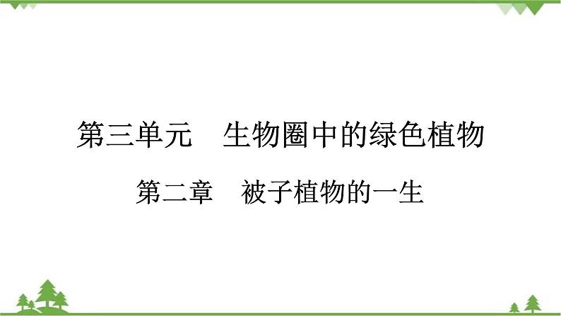 2021年生物中考人教版复习课件：第3单元 第2章 被子植物的一生01