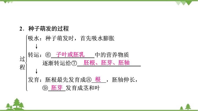 2021年生物中考人教版复习课件：第3单元 第2章 被子植物的一生07