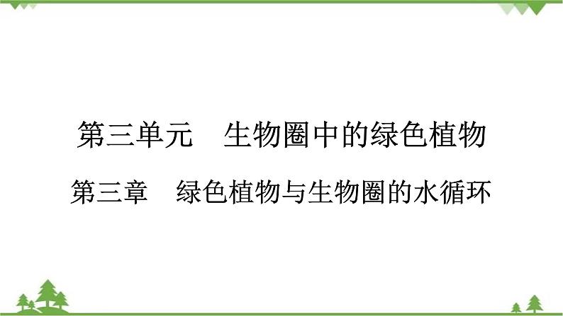 2021年生物中考人教版复习课件：第3单元 第3章 绿色植物与生物圈的水循环01