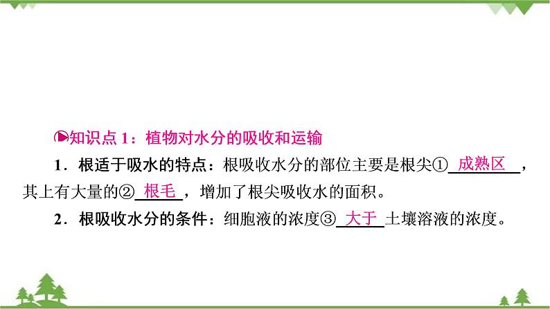 2021年生物中考人教版复习课件：第3单元 第3章 绿色植物与生物圈的水循环02