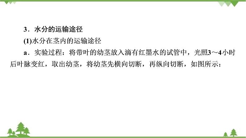 2021年生物中考人教版复习课件：第3单元 第3章 绿色植物与生物圈的水循环03