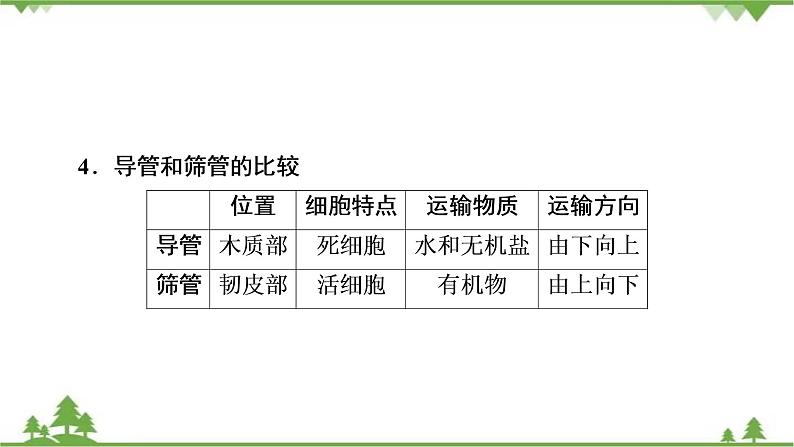 2021年生物中考人教版复习课件：第3单元 第3章 绿色植物与生物圈的水循环07