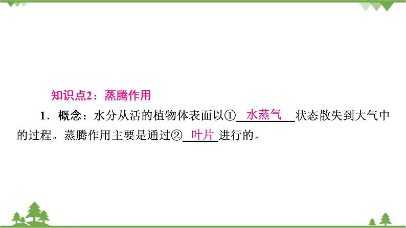 2021年生物中考人教版复习课件：第3单元 第3章 绿色植物与生物圈的水循环08