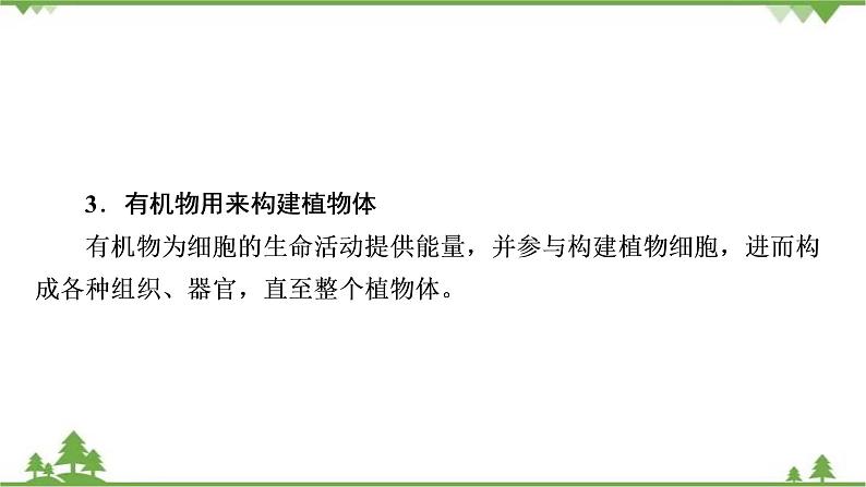 2021年生物中考人教版复习课件：第3单元 第4、5、6章 综合复习04