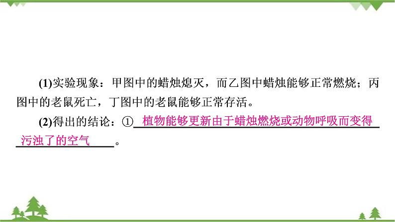 2021年生物中考人教版复习课件：第3单元 第4、5、6章 综合复习08