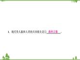2021年生物中考人教版复习课件：第4单元 第1章 人的由来