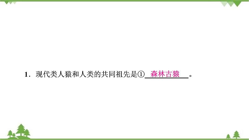 2021年生物中考人教版复习课件：第4单元 第1章 人的由来04