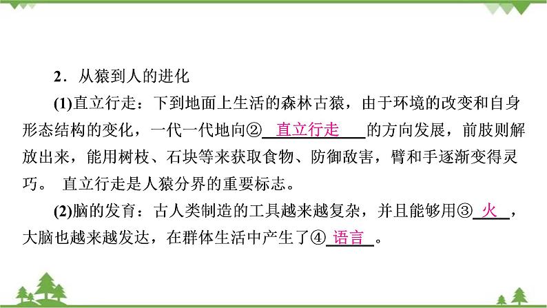 2021年生物中考人教版复习课件：第4单元 第1章 人的由来05