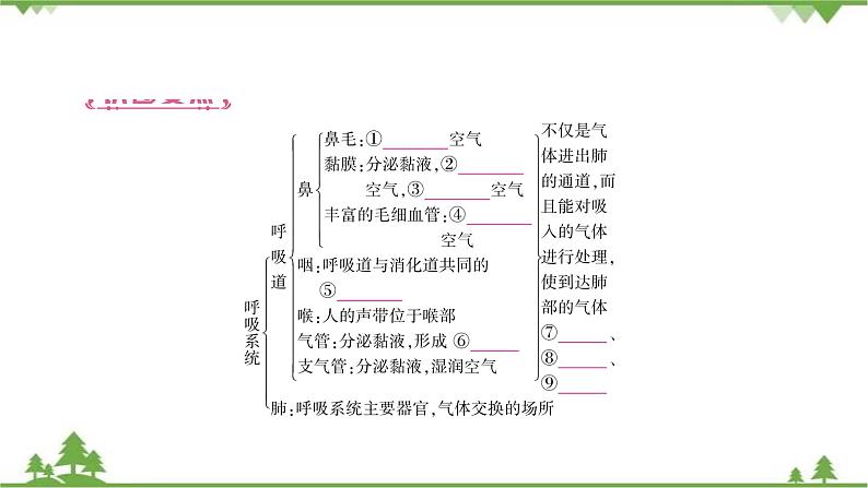 2021年生物中考人教版复习课件：第4单元 第3章 人体的呼吸03