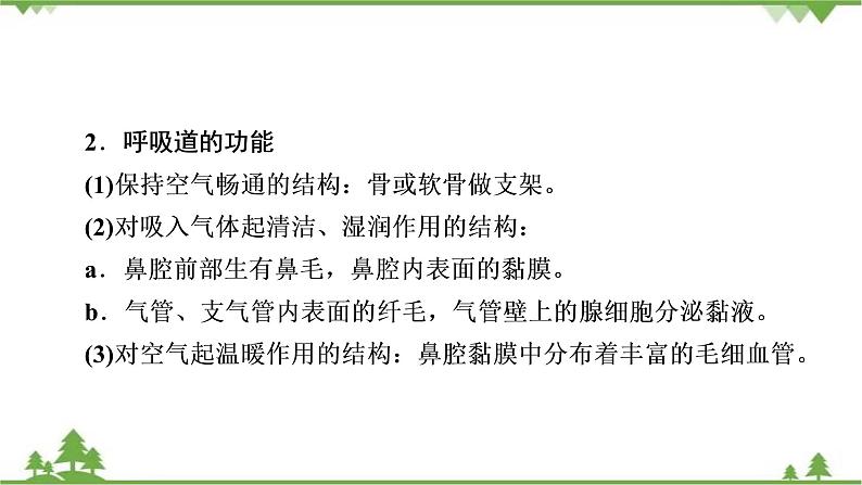 2021年生物中考人教版复习课件：第4单元 第3章 人体的呼吸04