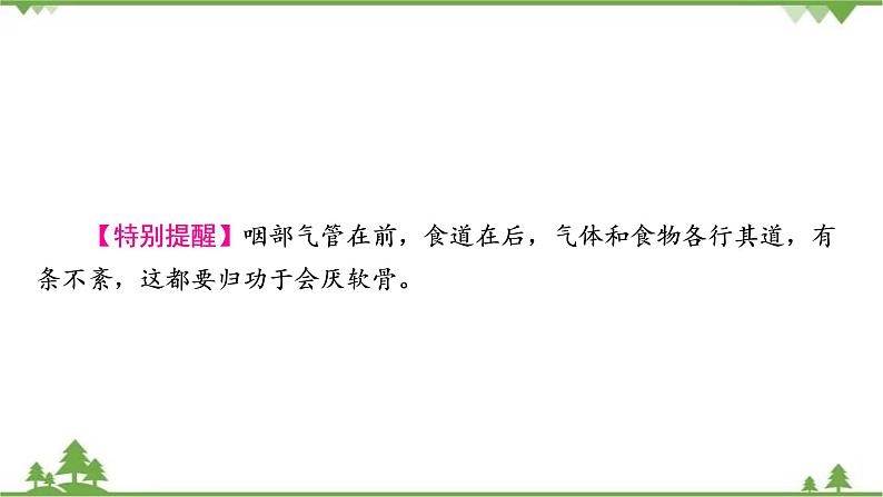 2021年生物中考人教版复习课件：第4单元 第3章 人体的呼吸05