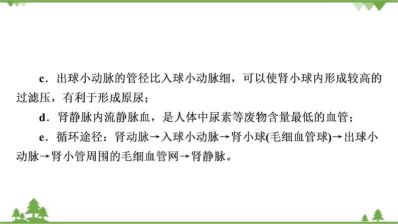 2021年生物中考人教版复习课件：第4单元 第5章 人体内废物的排出06