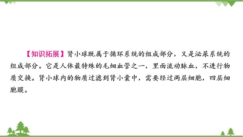 2021年生物中考人教版复习课件：第4单元 第5章 人体内废物的排出07