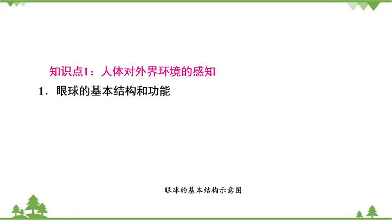 2021年生物中考人教版复习课件：第4单元 第6章 第7章 人类活动对生物圈的影响02