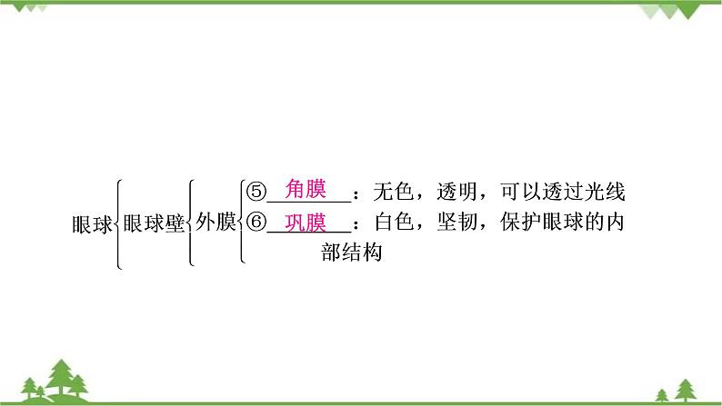 2021年生物中考人教版复习课件：第4单元 第6章 第7章 人类活动对生物圈的影响03