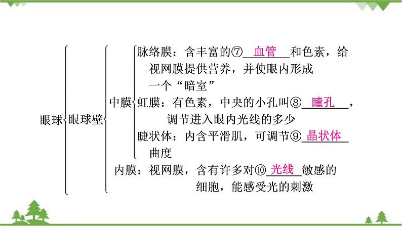 2021年生物中考人教版复习课件：第4单元 第6章 第7章 人类活动对生物圈的影响04