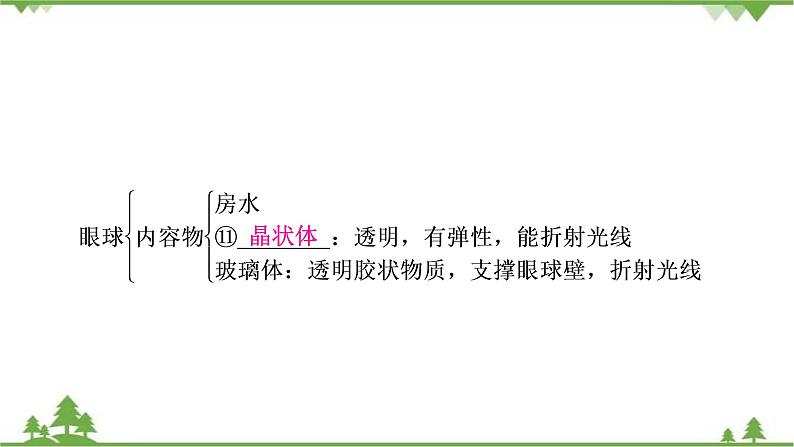 2021年生物中考人教版复习课件：第4单元 第6章 第7章 人类活动对生物圈的影响05