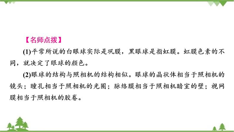 2021年生物中考人教版复习课件：第4单元 第6章 第7章 人类活动对生物圈的影响07