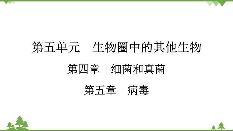 2021年生物中考人教版复习课件：第5单元 第4章 细菌和真菌 第5章 病毒01