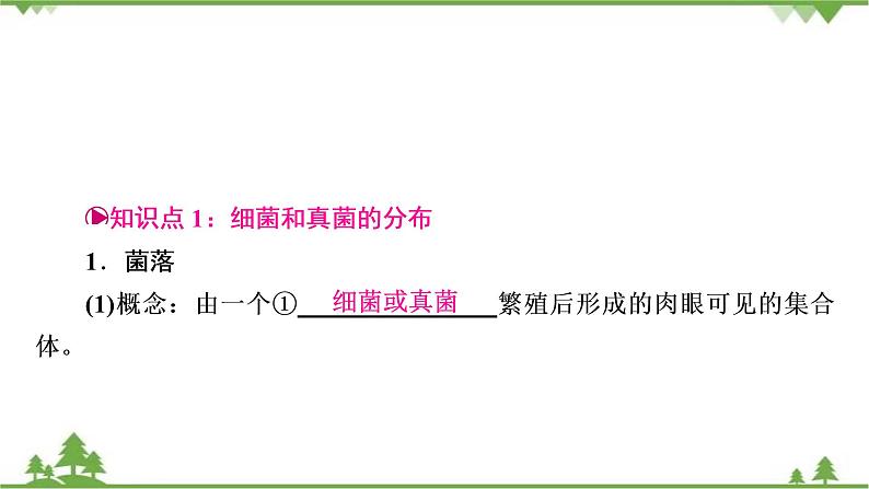 2021年生物中考人教版复习课件：第5单元 第4章 细菌和真菌 第5章 病毒02