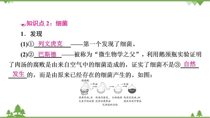 2021年生物中考人教版复习课件：第5单元 第4章 细菌和真菌 第5章 病毒06