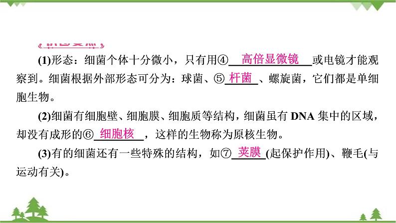 2021年生物中考人教版复习课件：第5单元 第4章 细菌和真菌 第5章 病毒08