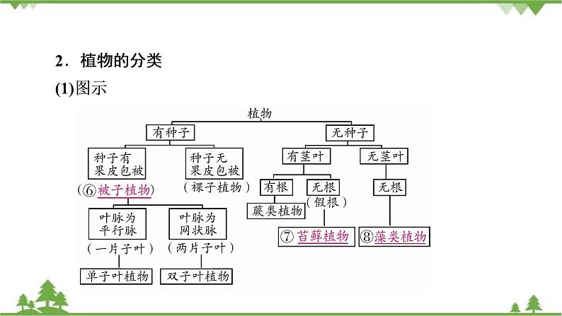 2021年生物中考人教版复习课件：第6单元 生物的多样性及其保护04