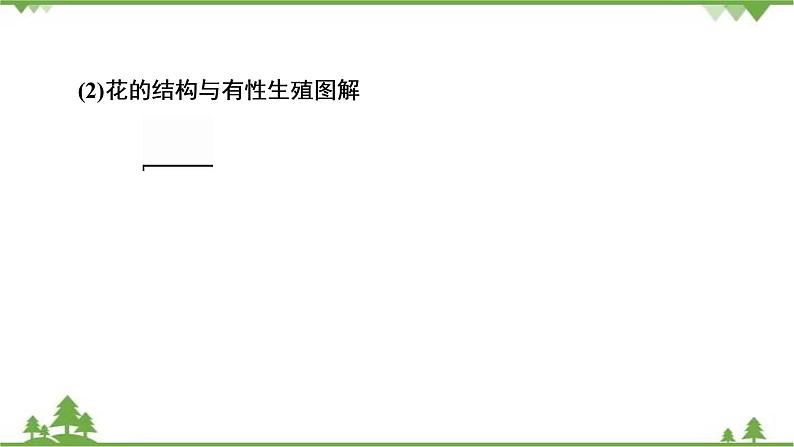 2021年生物中考人教版复习课件：第7单元 第1章 生物的生殖和发育04