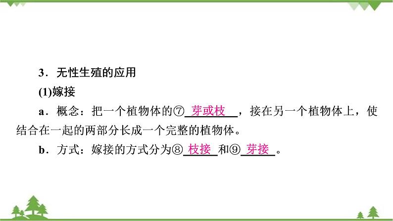 2021年生物中考人教版复习课件：第7单元 第1章 生物的生殖和发育06