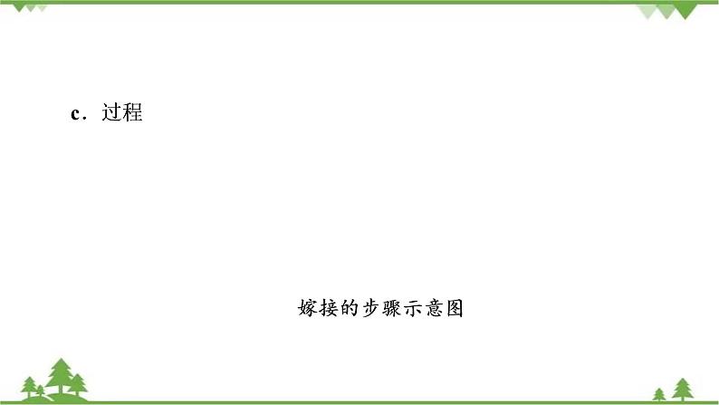 2021年生物中考人教版复习课件：第7单元 第1章 生物的生殖和发育07